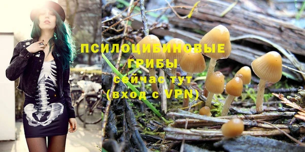 прущие крисы Богородицк