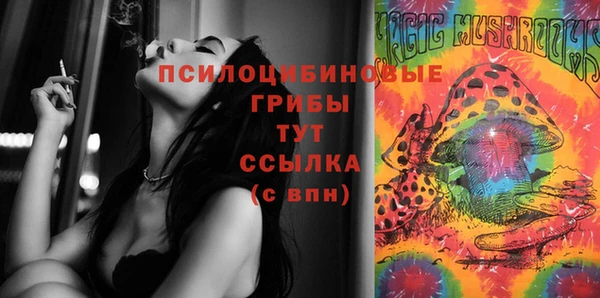 синтетический гашиш Богородск